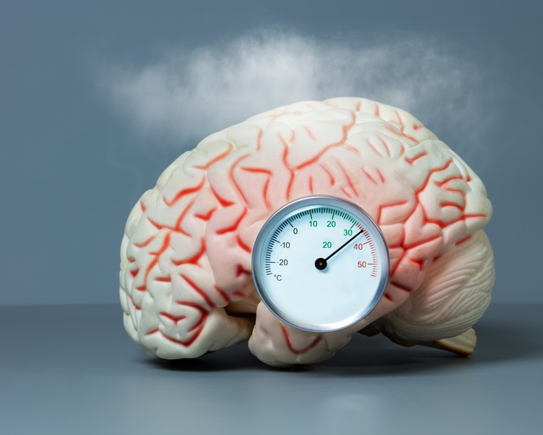 creierul si canicula brain fog