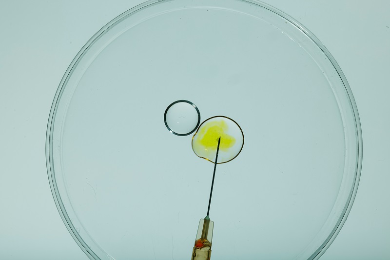 fertilizare in vitro