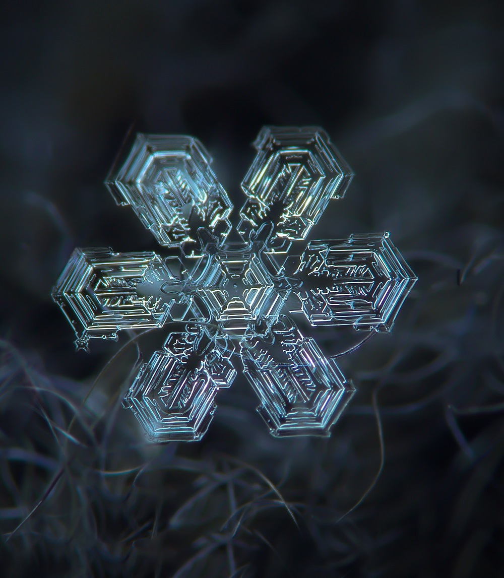 forma fulg de nea macrofotografie