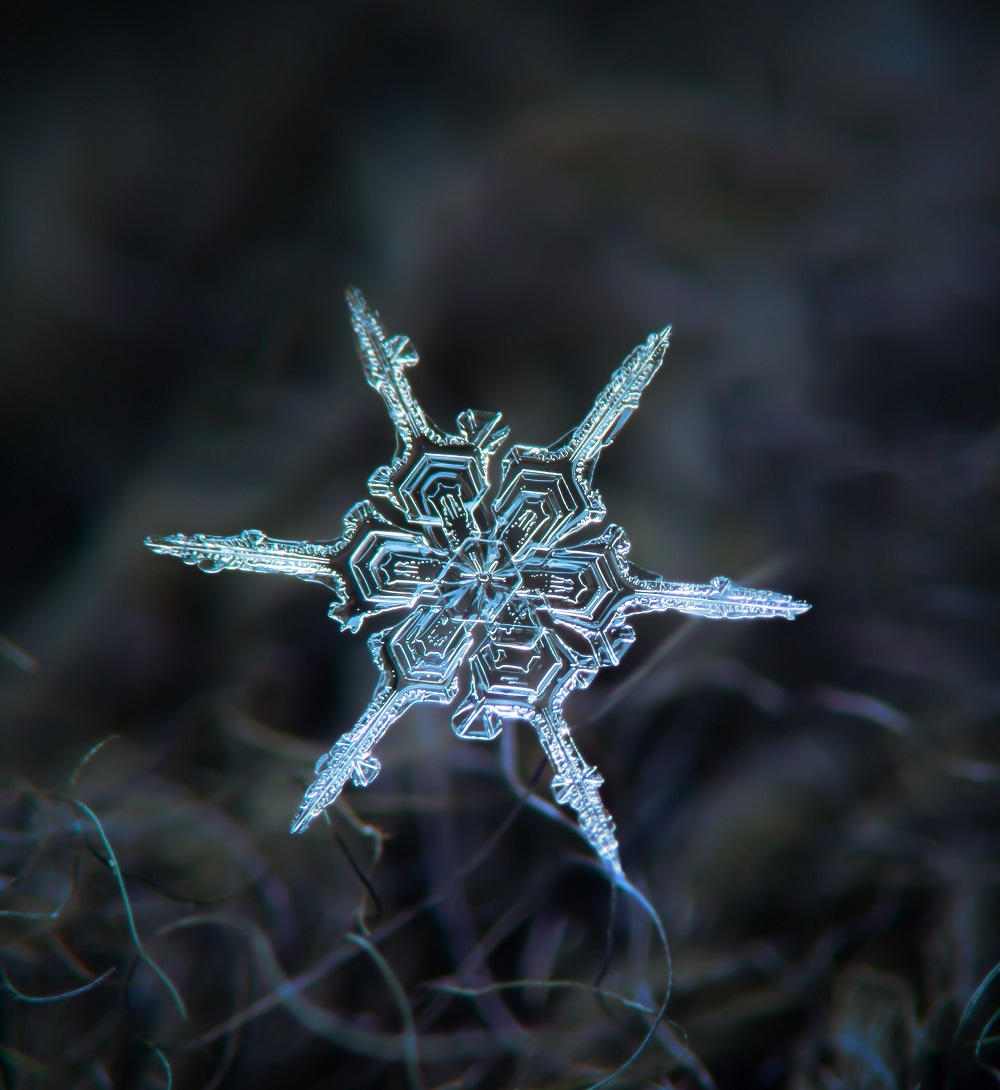 fulg de nea forma geometrica