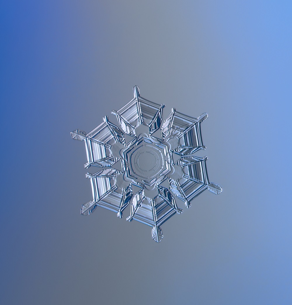 fulg de nea forma uimitoare