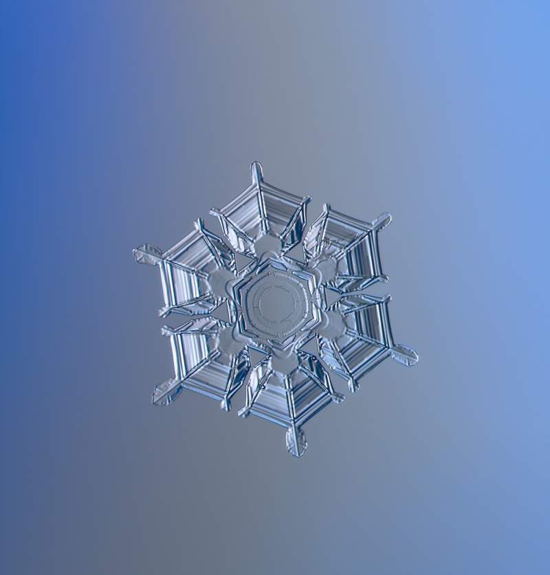 fulg de nea forma uimitoare