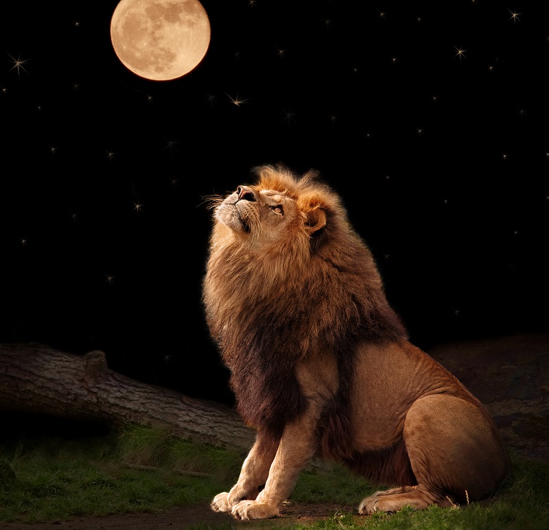 luna plina in Leu