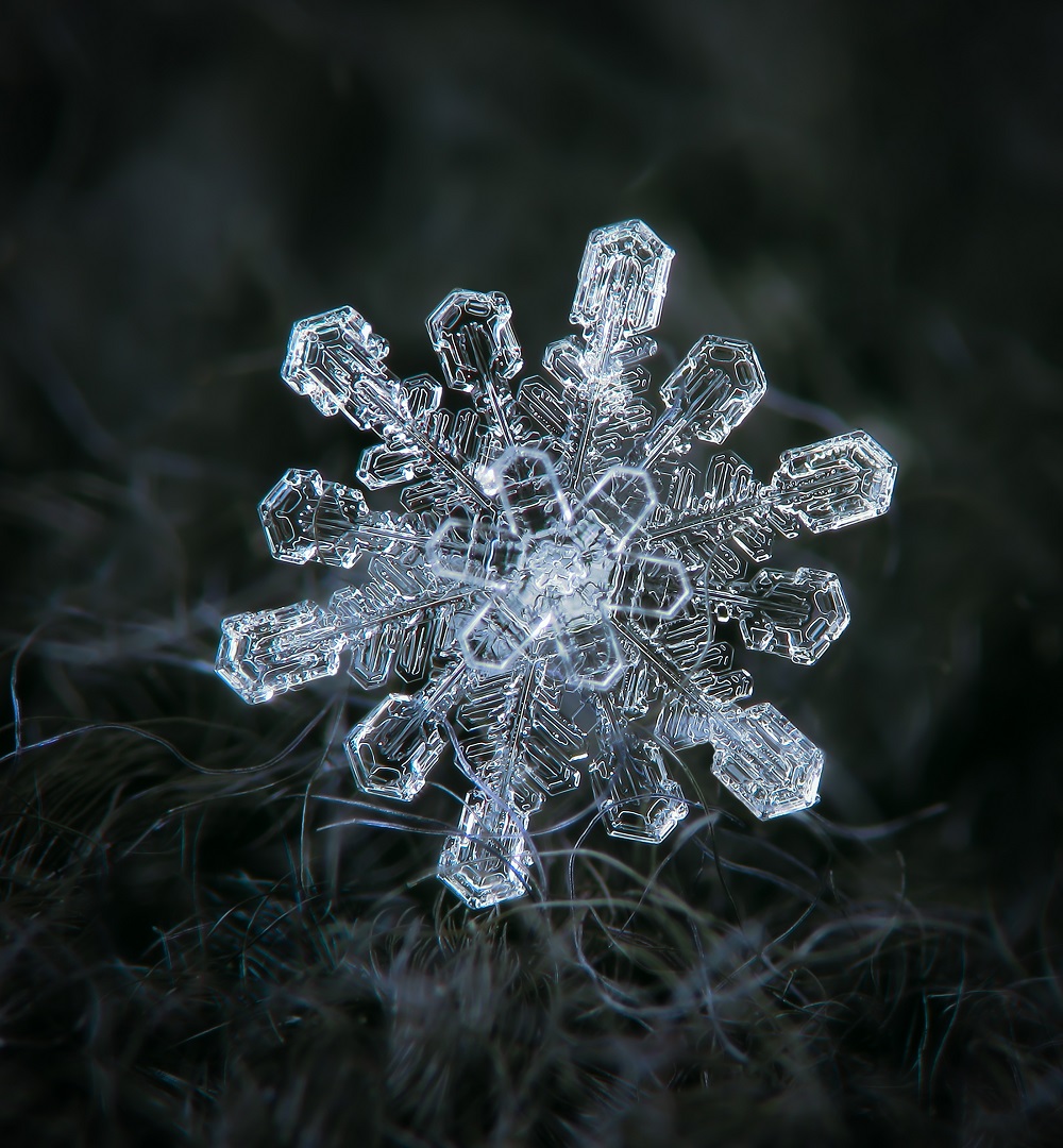 fulg de nea in forma de stea