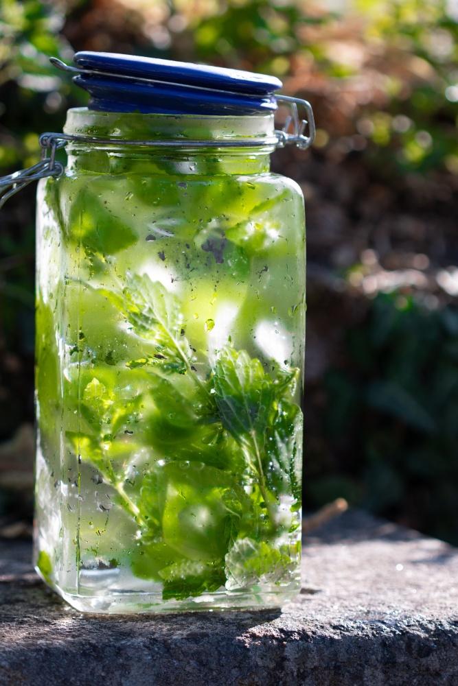 Infuzie la rece de roinita