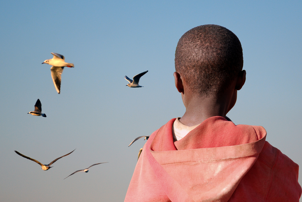 horoscopul african semnul copilul lumii