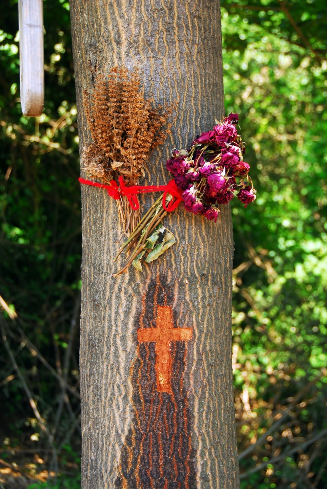 Ritual busuioc