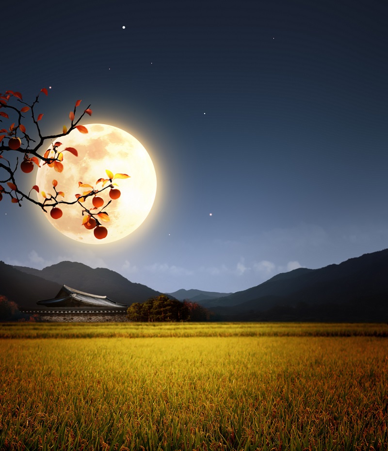 luna plina in taur 15 noiembrie