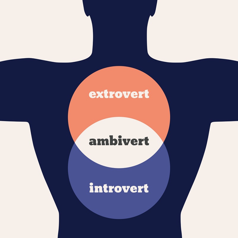 trasaturi ambivert, ambivert