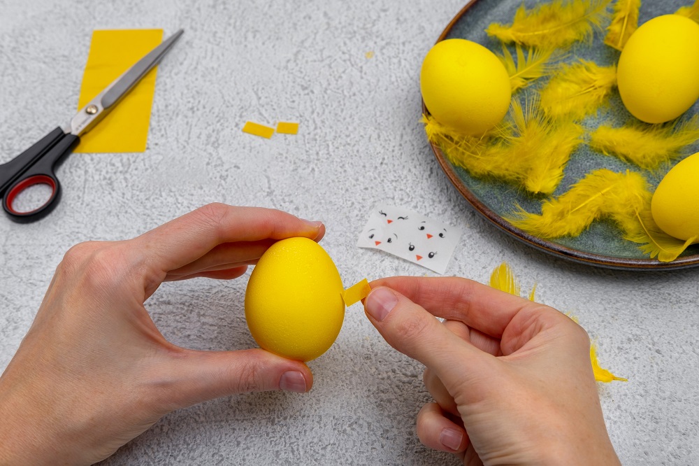 DIY ou de Paste pasul 10