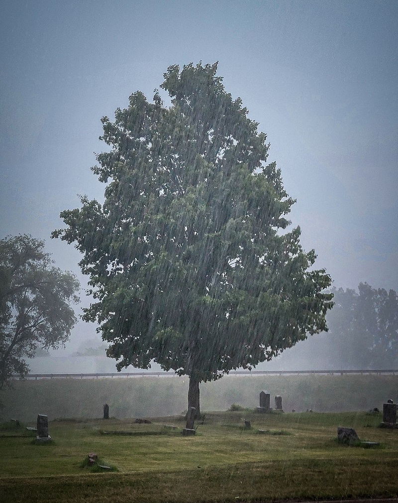 ploaia la inmormantare