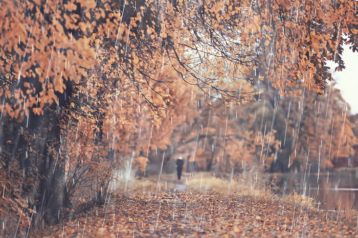 citate despre ploaie, ploaie de toamna