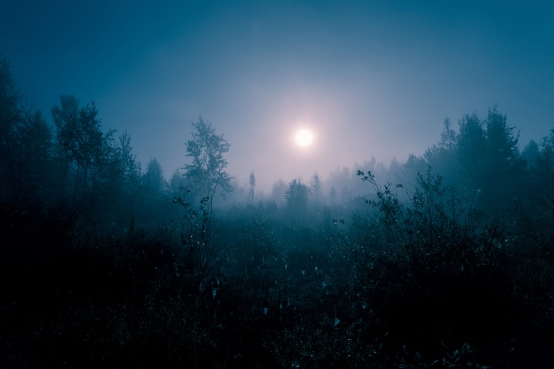 nascut la miezul noptii