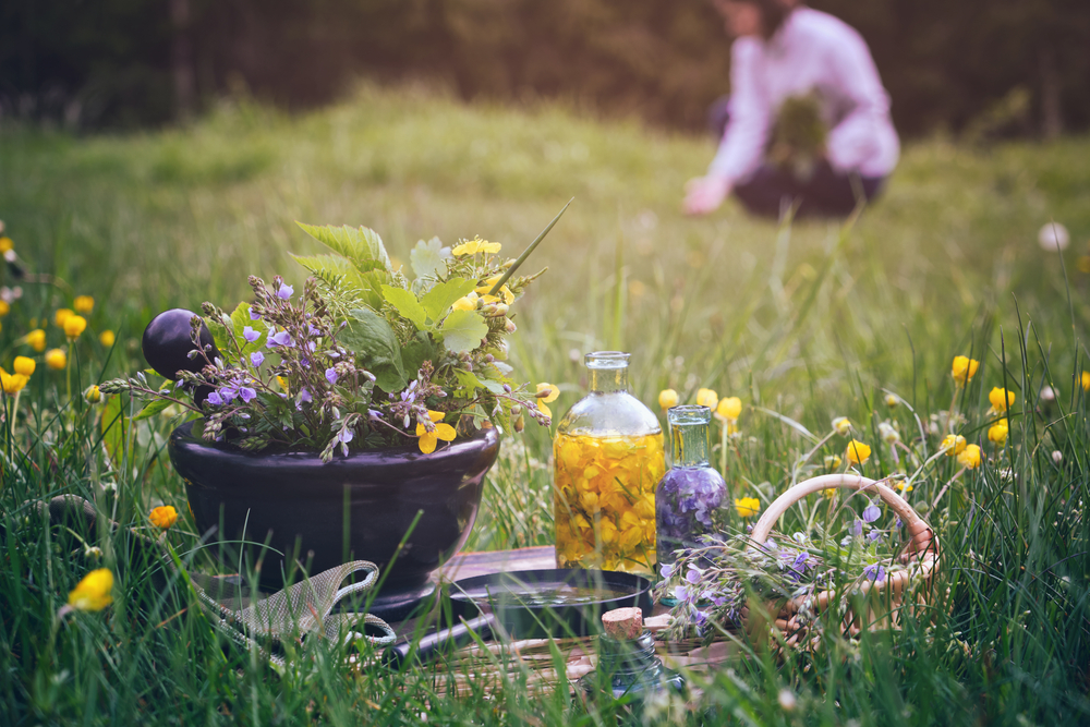 tratamente naturiste vara pentru imunitate