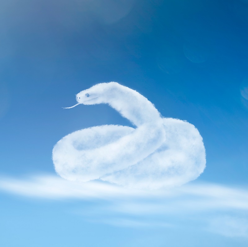 ce inseamna cand visezi sarpe mare