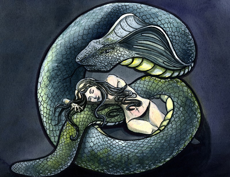 vise cu sarpe mare care te ataca