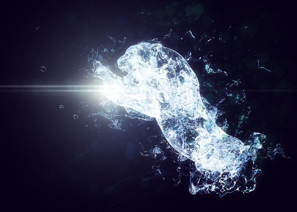 2022 anul chinezesc al tigrului de apa