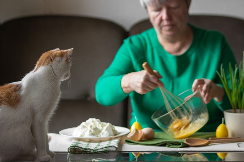mancare pentru animale de Pasti