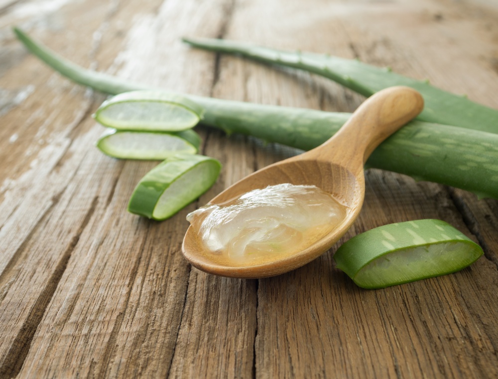 Aloe vera si gel de aloe intr-o lingura de lemn
