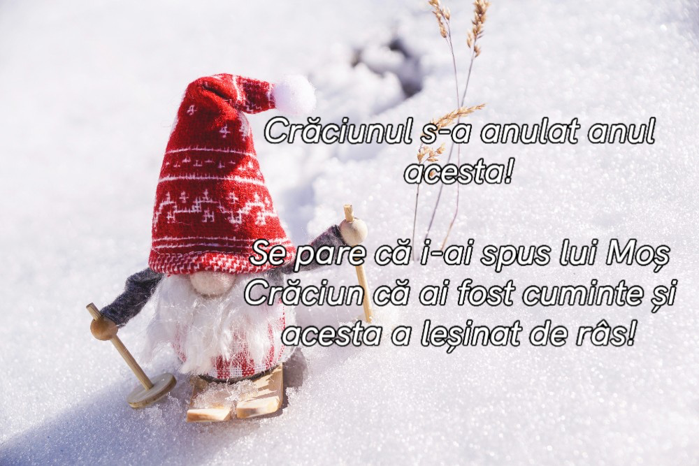 mesaje si urari haioase de craciun