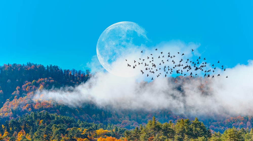 luna noua in scorpion horoscop noiembrie 2021