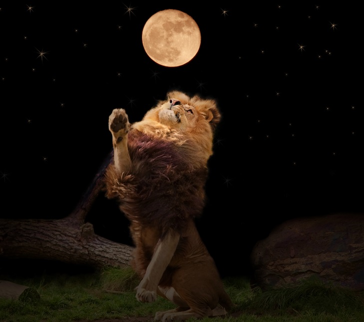 luna plina in leu - 28 ianuarie 2021