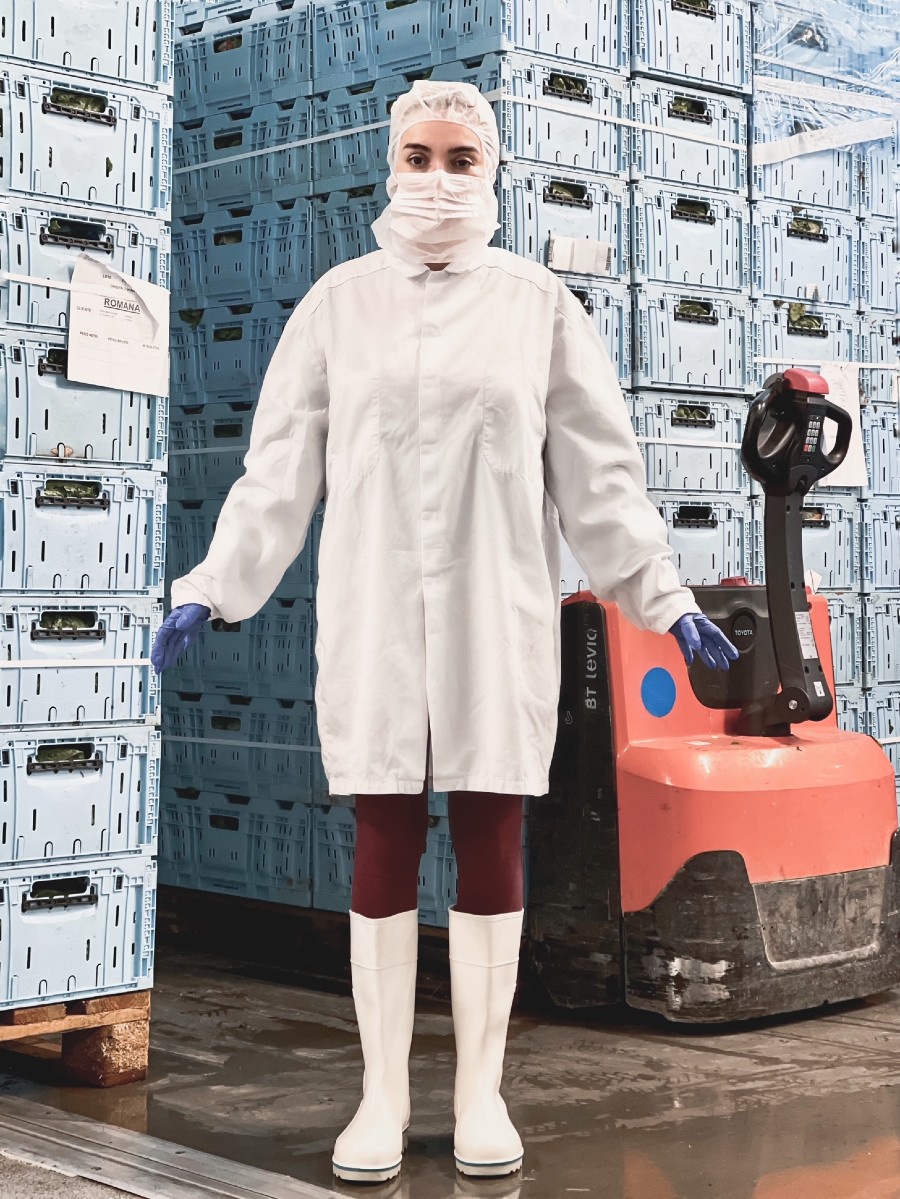 ana morodan salata eisberg