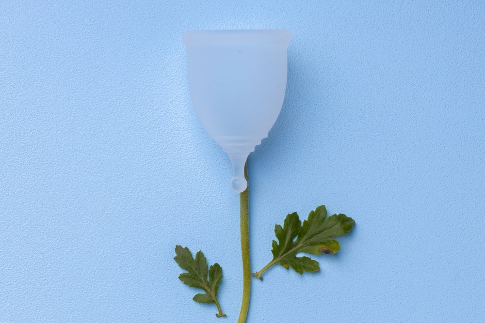 Cupa menstruala si o planta verde