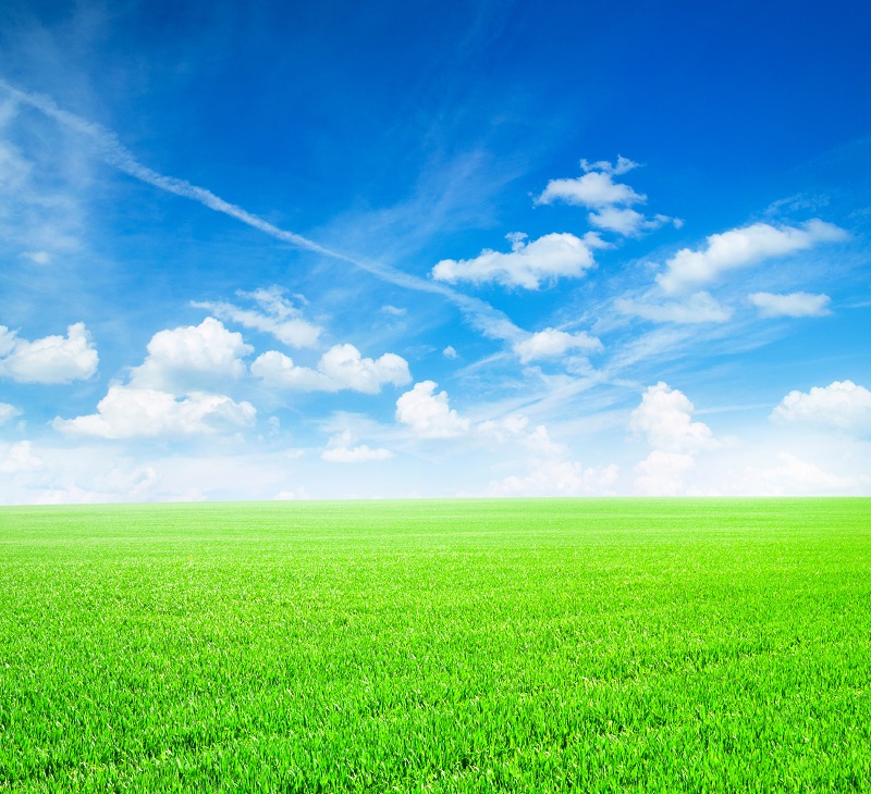 citate primavara si iubire