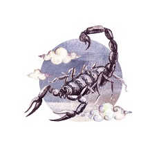 Scorpion, horoscop februarie 2021 zodia Scorpion
