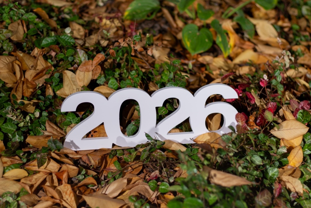 2026 scris cu alb asezat pe sol unde se afla frunze verzi si uscate