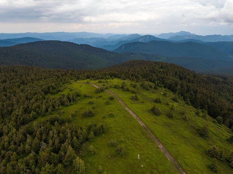 Lacauti, trasee Covasna