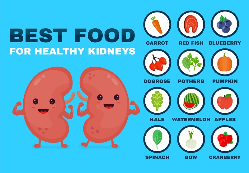 alimente pentru rinichi sanatosi si normalizarea ureei serice