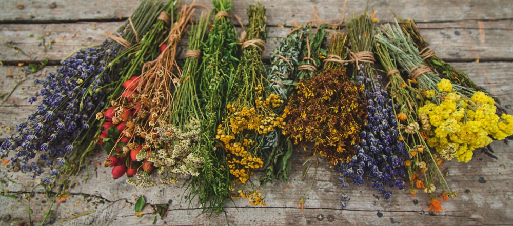 Mai multe buchete de plante medicinale uscate insirate pe o masa de lemn