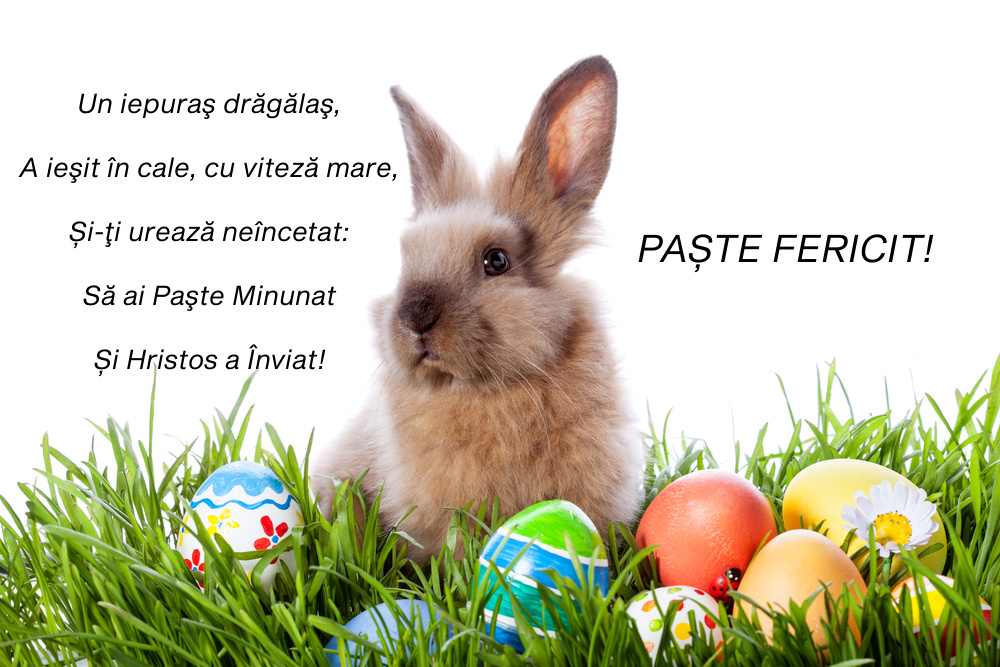 poezii haioase de paste si felicitari cu urari in versuri de paste