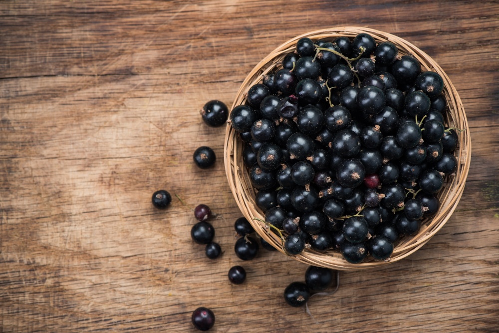 Coacaze negre
