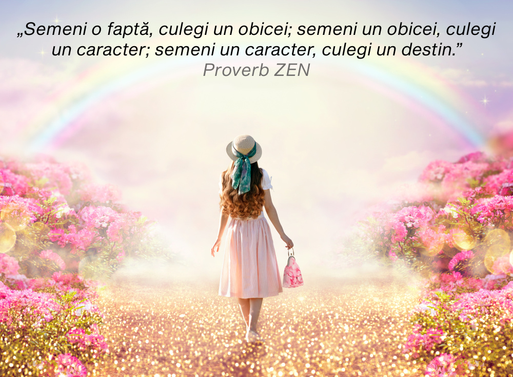 citate zen, proverbe zen
