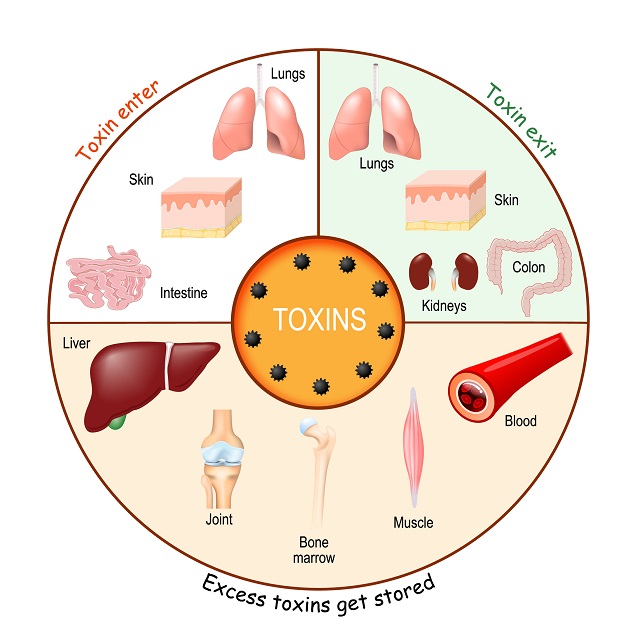 toxine