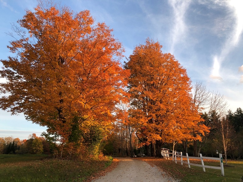 citate despre toamna