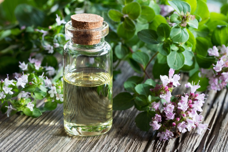 ulei de oregano beneficii