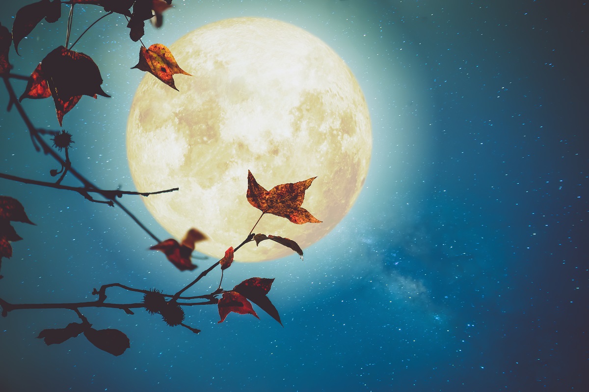 Luna plină în Berbec – 9 octombrie: Lecția vindecării acceptate! Recomandări astrale de suflet pentru zodia ta în prag de lună plină