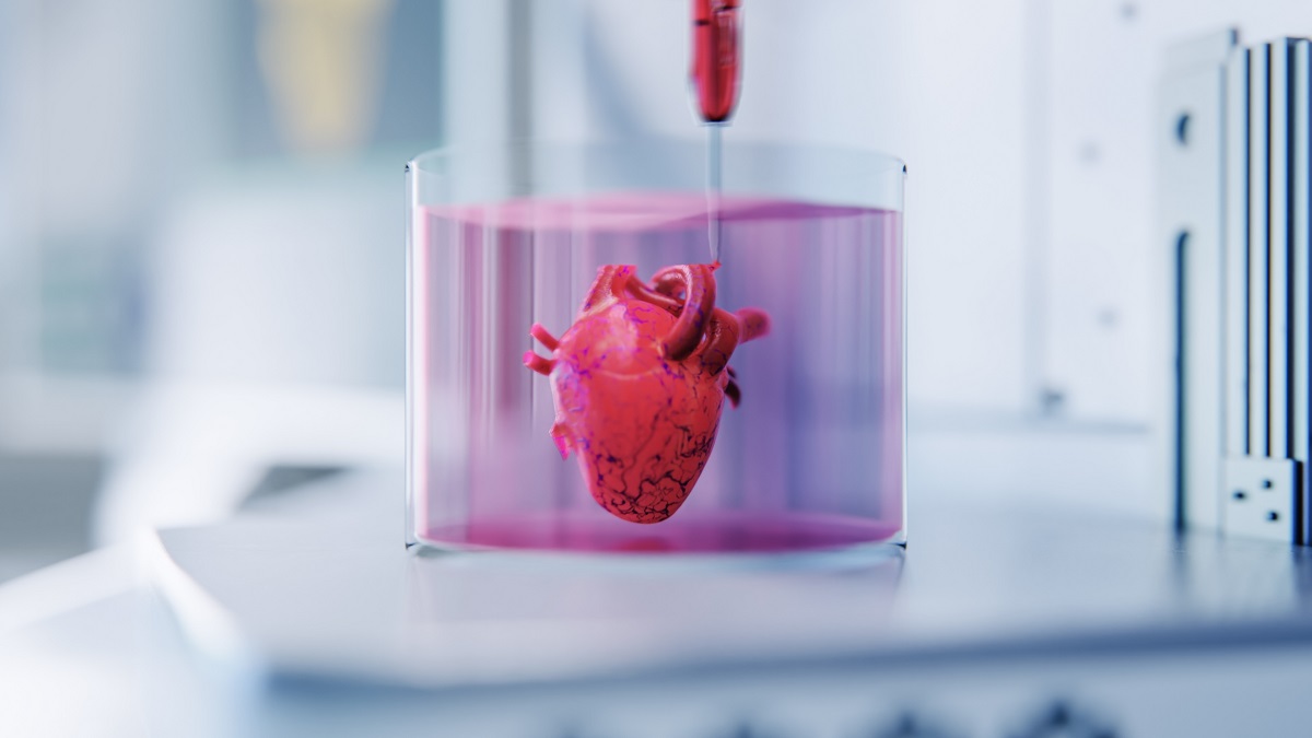 România găzduiește pentru prima dată congresul european dedicat organelor artificiale