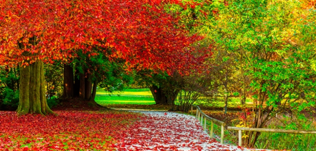 Alege zona care iti atrage atentia! 