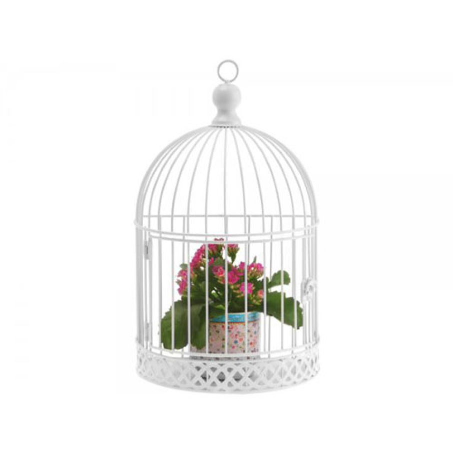Colivie Greenhouse