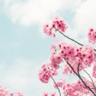 In suflet ti-a inviat Hristos? 