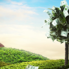 Dicționar de vise: Ce înseamnă când visezi bani - că numeri bancnote sau monede, că găsești bani sau îi pierzi, că furi bani sau banii au anumite culori?