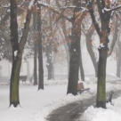 Curiozitatile lui 'Gerar': Lucruri interesante si fascinante despre luna ianuarie!