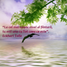 18 Citate revelatoare despre viata!