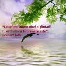 18 Citate revelatoare despre viata!