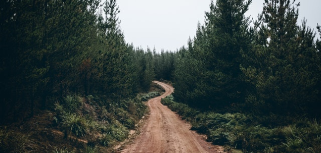 Urmeaza primul impas. Sunt trei drumuri, pe care vei merge?